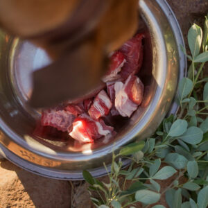 Premium Outback Beef Dog Food
